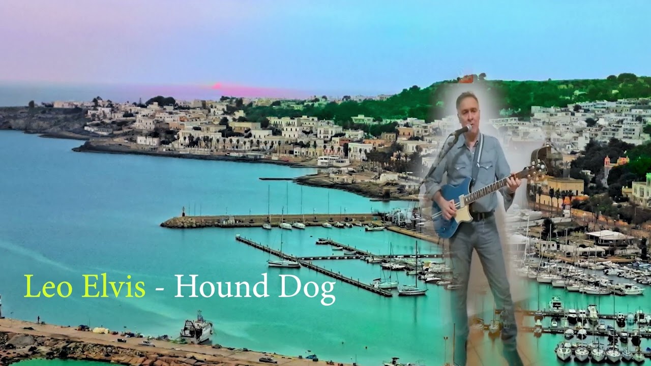 Hound Dog  (Elvis Presley) by Leo Elvis- from ITALY 