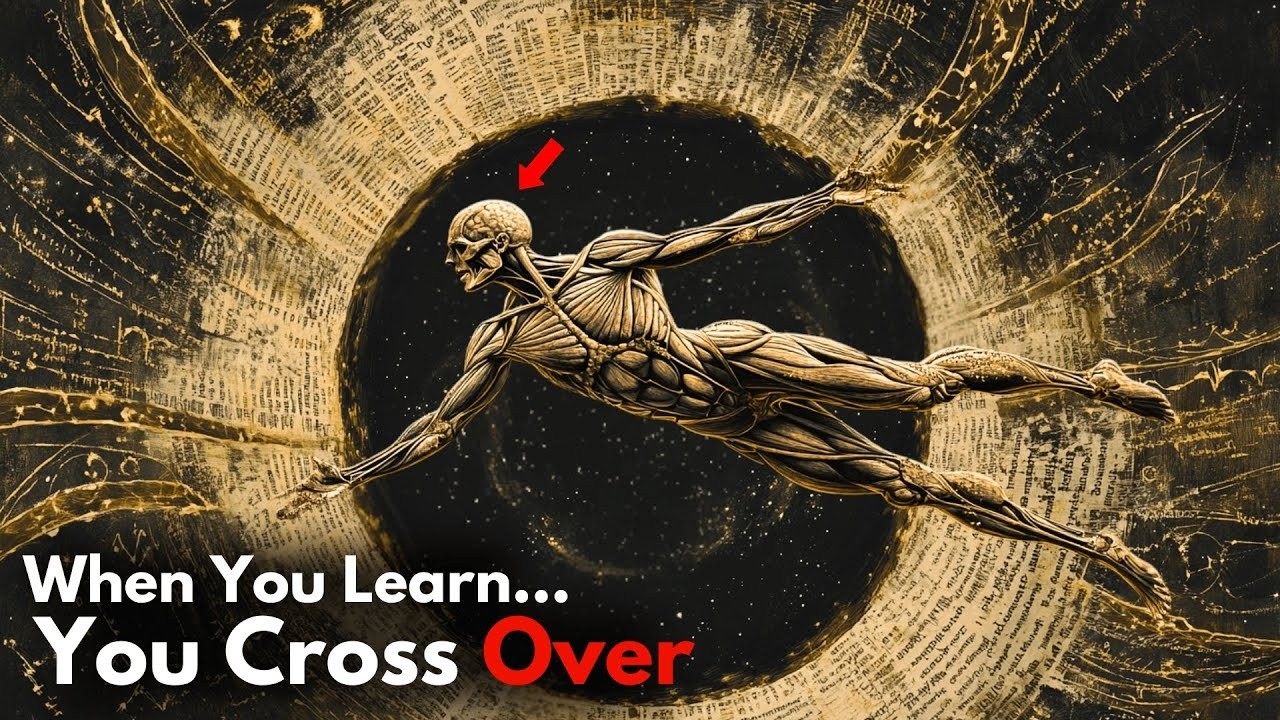 You Were Never Broken — You Were Tuned to the Wrong Frequency