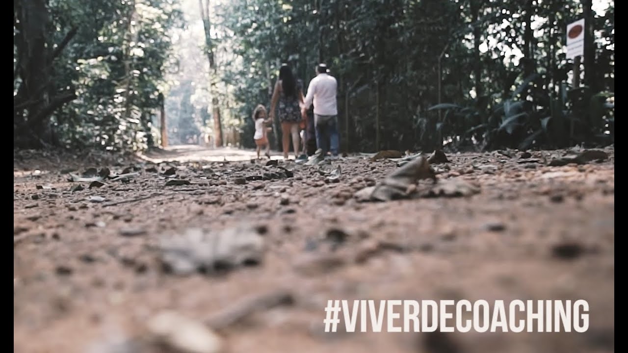 Profiss&atilde;o Coach | Fabio Tavares | Viver de Coaching