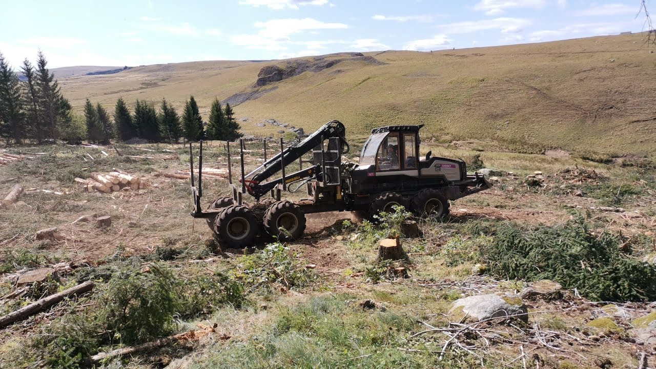 Débardage avec Logset 5FP GT en France