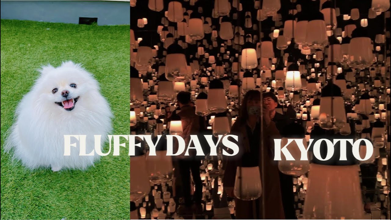 和狗一起，不去景點的京都之旅/犬と歩く京都、ふたりで入る別の世界/Two Sides of Kyoto：with Our Dog & Stepping into Another World