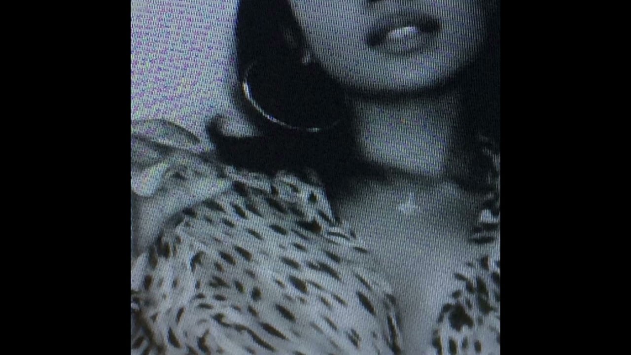 (Free) “Sensual Trap R&B Type Beat – 140BPM Gm | Summer Nights Vibes”