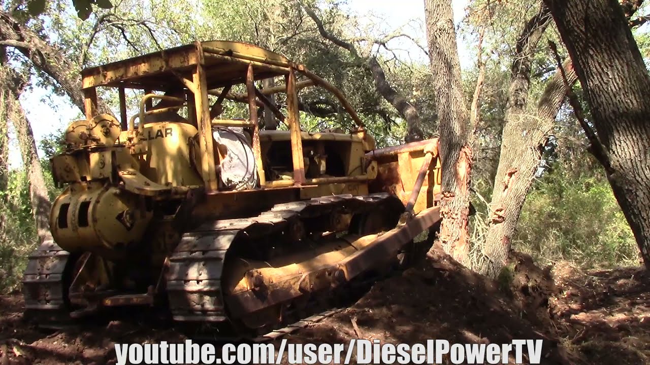 CAT D7 START & PUSHING DOWN TREES!!! PART 1