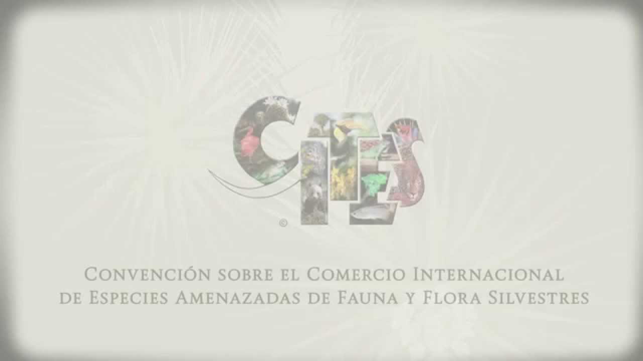 CITES