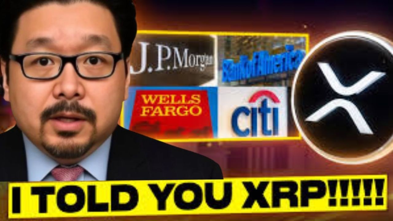 Я же говорил, XRP!!!!! Он здесь!!!! Бум💥💥