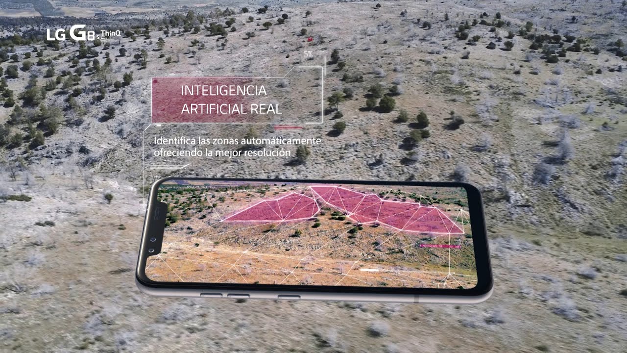 LG une ciencia y tecnología para reforestar 1,5 millones de árboles en Guadalajara