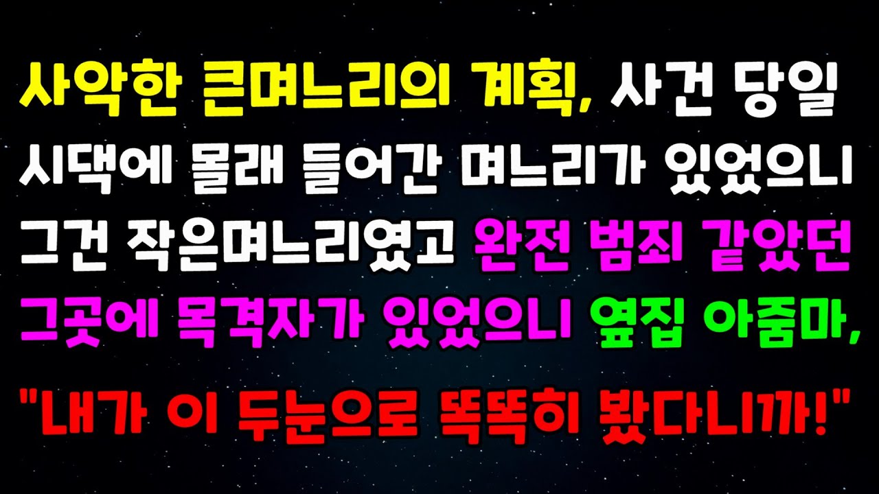 사악한 큰며느리의 계획, 사건당일 시댁에 몰래들어간 며느리가 있었으니 그건 작은며느리였고 완전 범죄 같았던 그곳에 목격자가 있었으니 옆집 아줌마, 