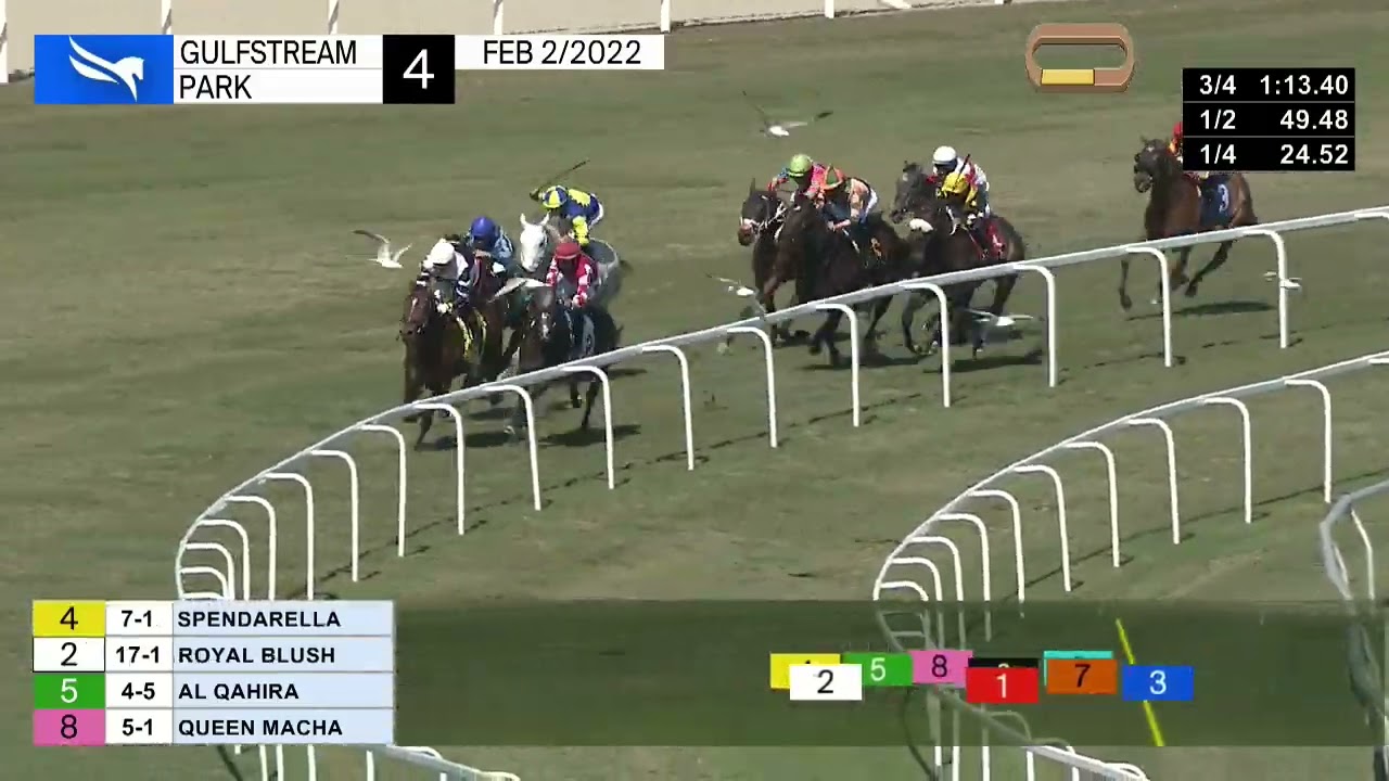 Gulfstream Park Carrera 4 - 2 de Febrero 2022