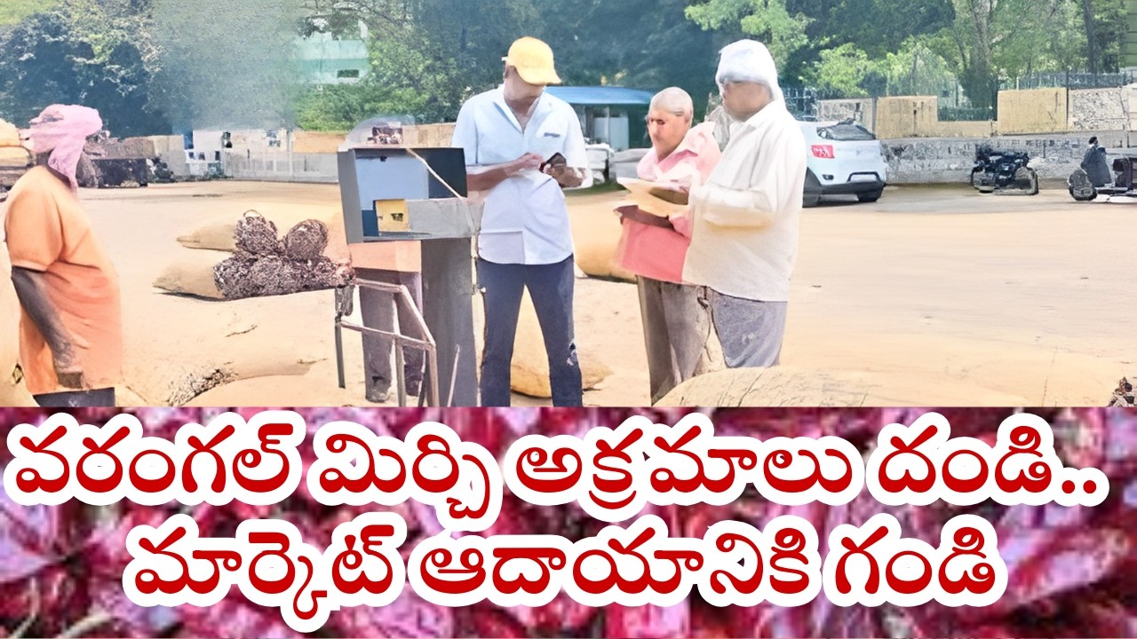 వరంగల్ మిర్చి అక్రమాలు దండి.. మార్కెట్‌ ఆదాయానికి గండి I #warangal #latestnews #viral #mirchi
