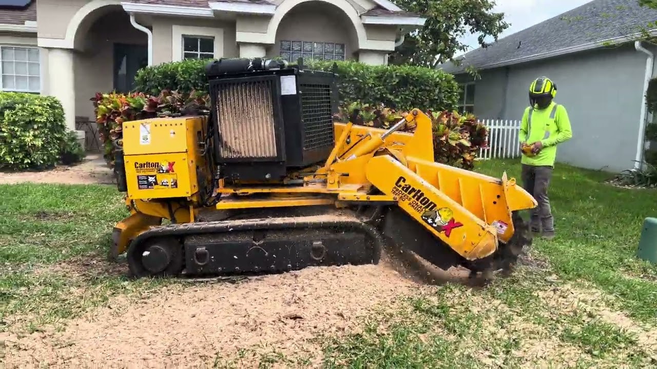 $400 Oak Stump in 7 Minutes Carlton 7015 TRX Stump Grinding
