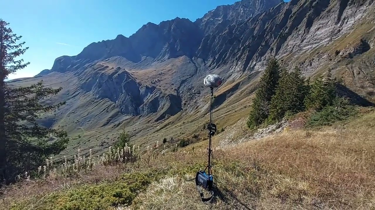 Field Recording - Line Audio CM4 ORTF / Sound device Mix pre 6 @Megantic QC, CANADA