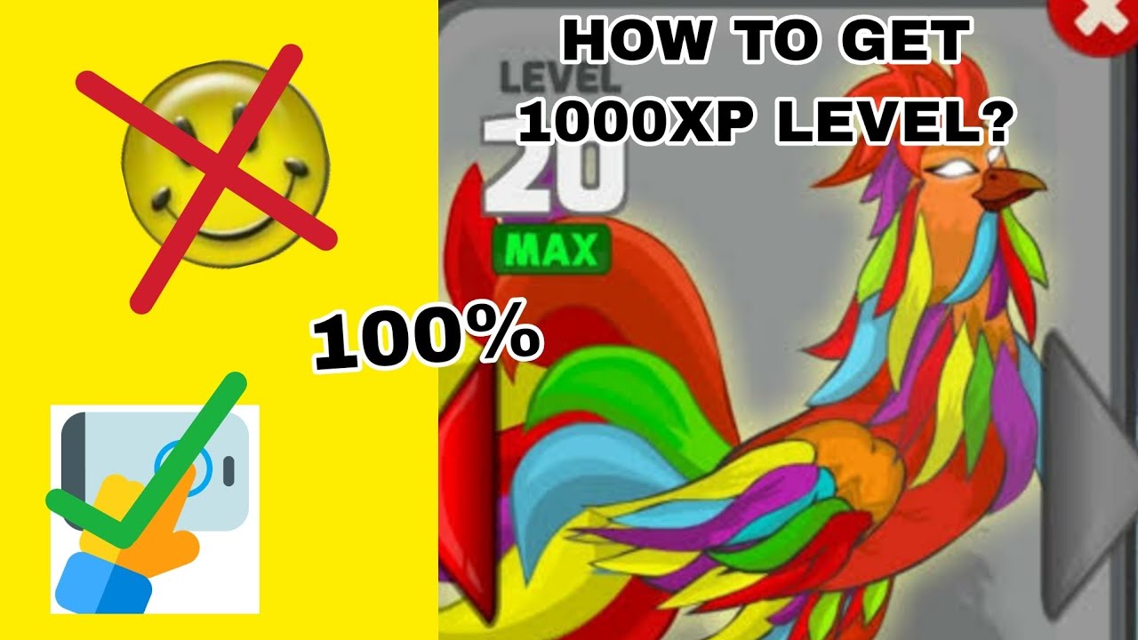 How To Get 1000 xp Level Faster? | Manok Na Pula