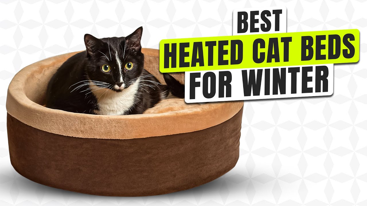 3 BEST Heated Cat Beds for Winter - Don&rsquo;t Let Your Cat Freeze!