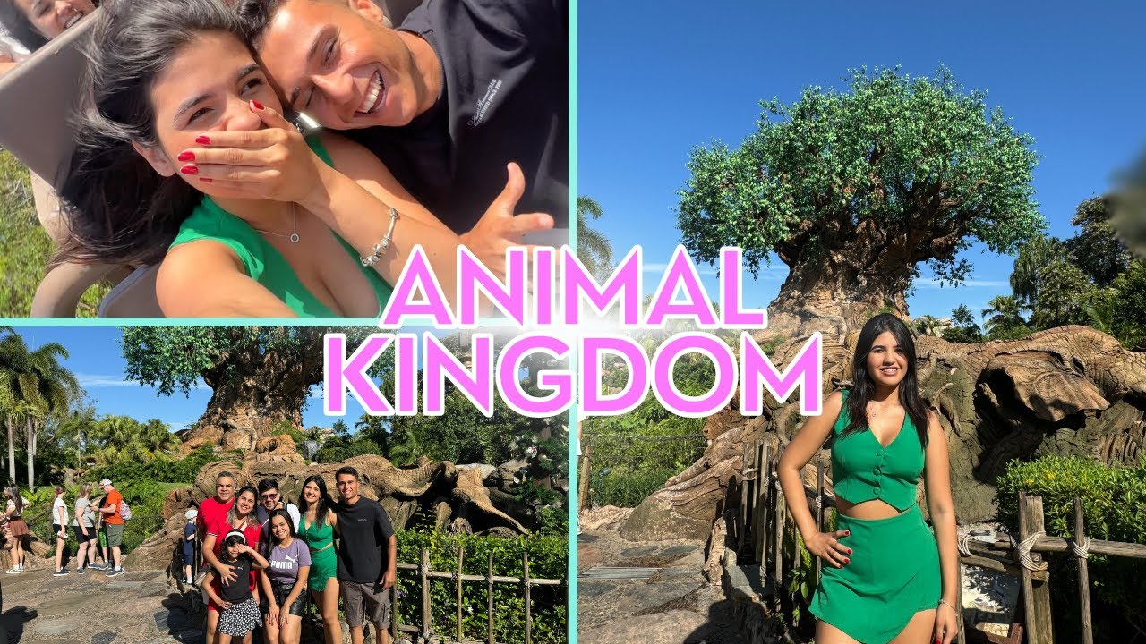 NOSSO DIA DE PARQUE NO ANIMAL KINGDOM!!! *EVEREST, AVATAR* ‹ FAMILIA BM ›