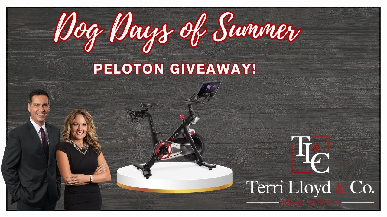 Terri Lloyd and Co. Dog Days of Summer Giveaway!
