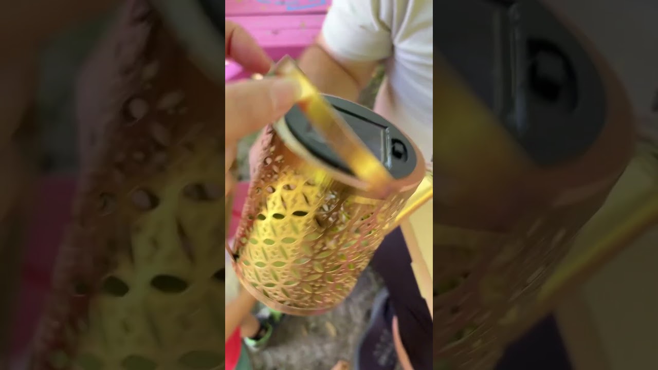 UNBOXING FAIRY LIGHTS.#garden#fairylight#mycanapinofamily#unboxing#shortsviral#familyvlog.