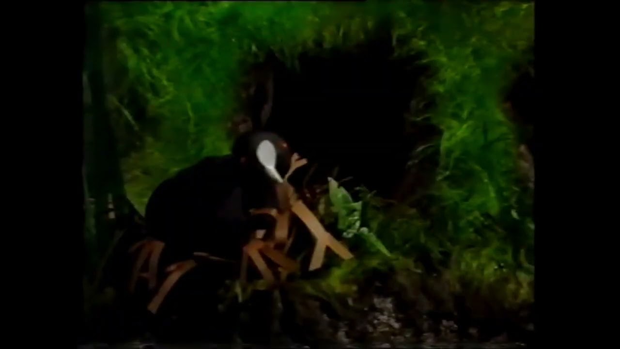 fingermouse - make the moonbeams dance