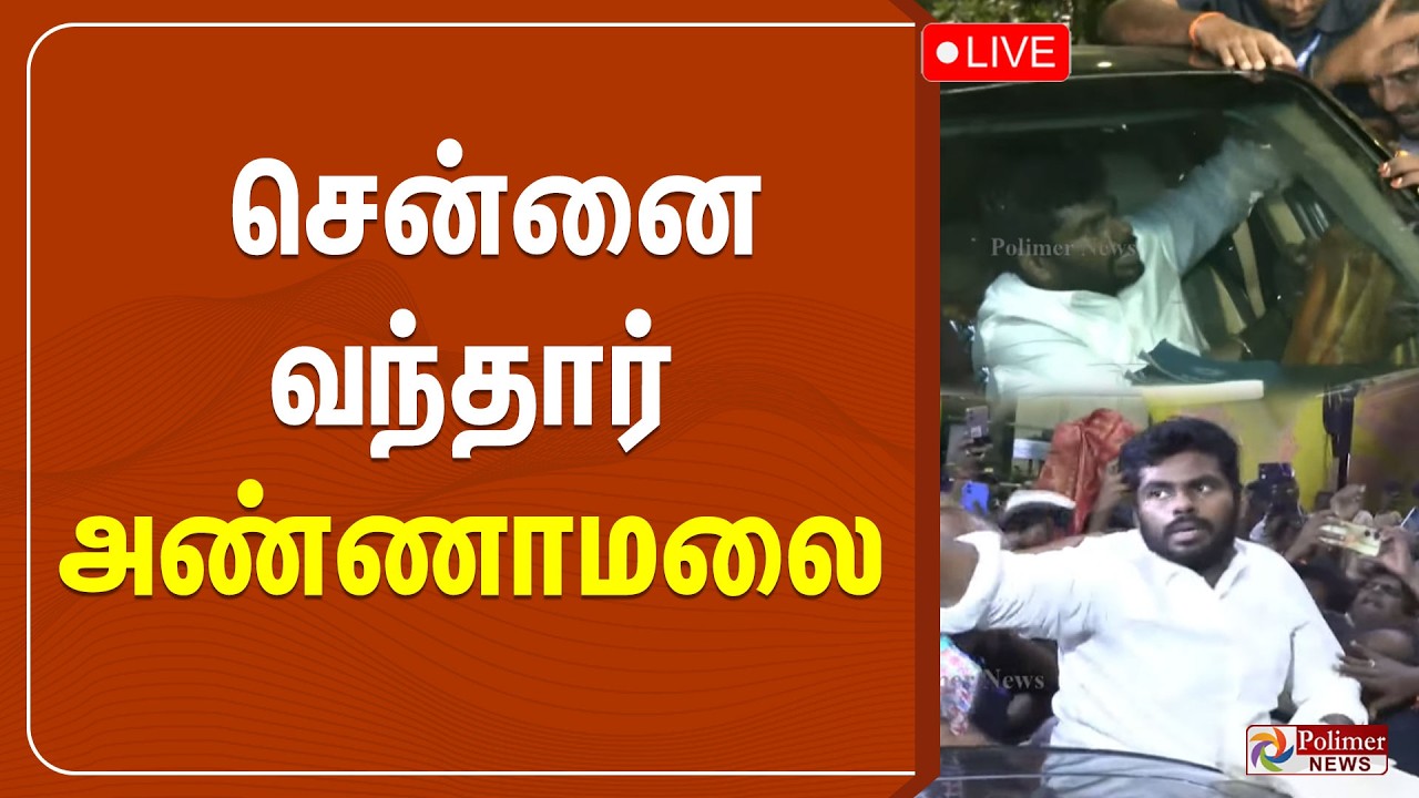 🔴LIVE : சென்னை வந்தார் அண்ணாமலை - ஆதரவாளர்கள் உற்சாக வரவேற்பு.. | Annamalai