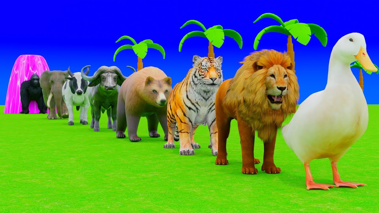 Long Slide Game with Dinosaur Lion Cow Hippopotamus Gorilla 3d Animal Game Funny 3d Animals
