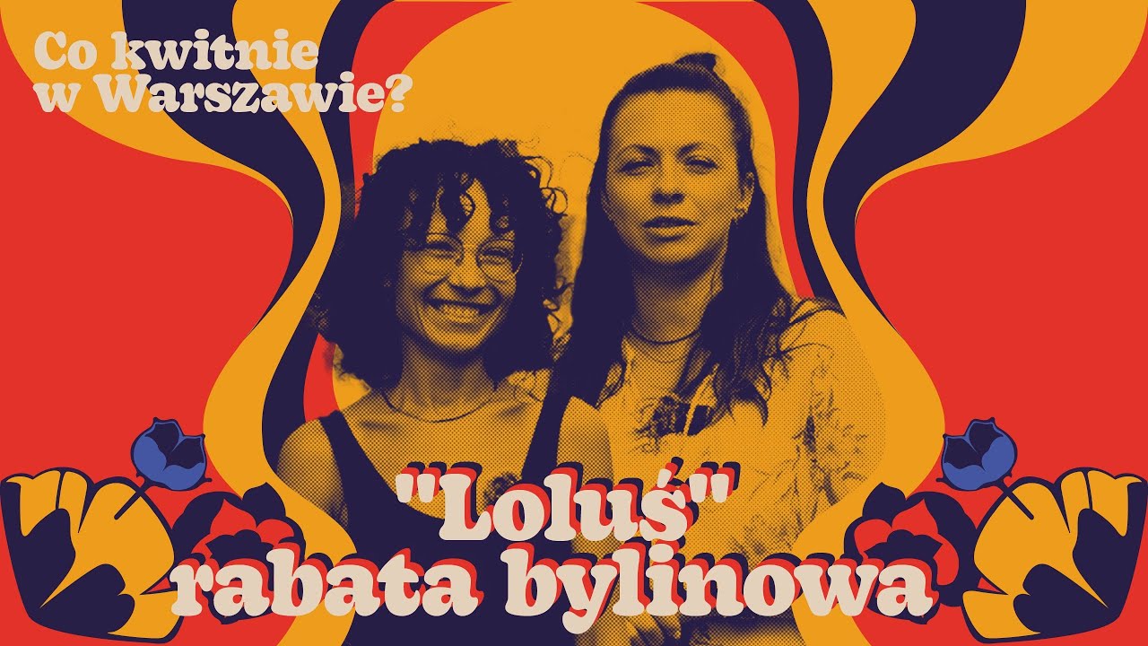 Rabata bylinowa w słońcu, odporna na suszę. Jak nasz projekt prezentuje się w terenie?