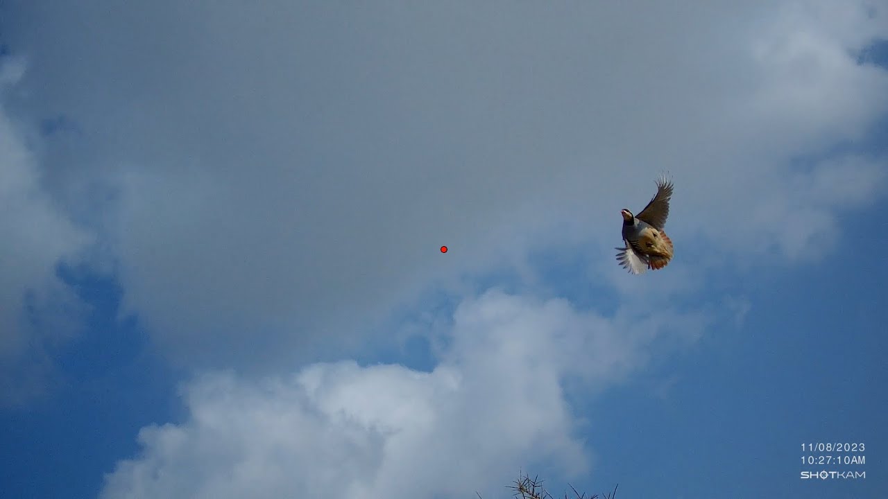 Partridge hunting in Cyprus 2023-24 season with GoPro and ShotKam