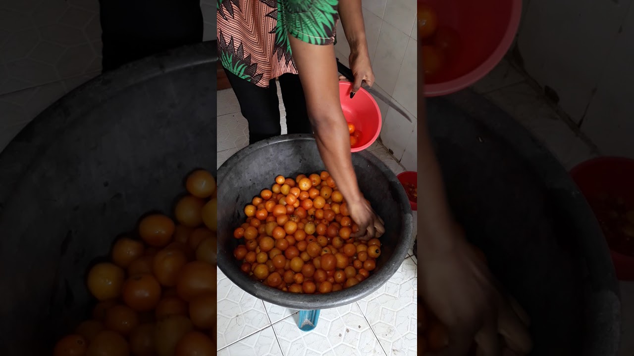 Small scale tomatoes processing(Part1)