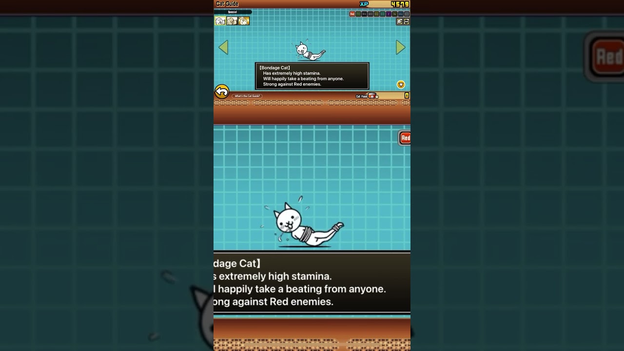 Evolving bondage cat!!!!!