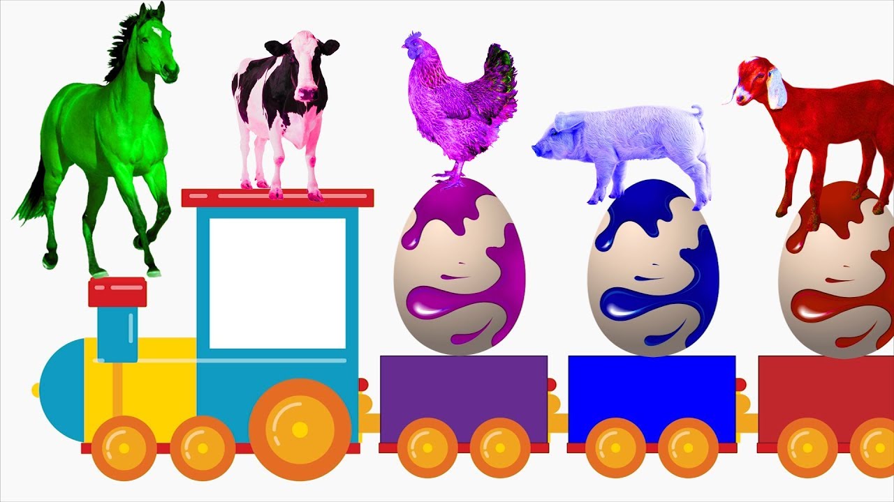 Pelajari Warna Dengan Telur Super dan Hewan Ternak | Nama Dan Suara Hewan Ternak | Tokek