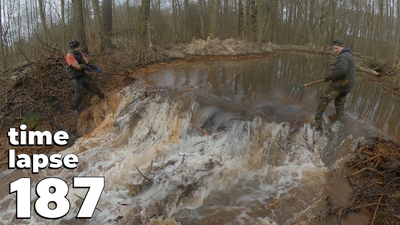 Big Dam - Manual Beaver Dam Removal No.187 - Time-Lapse Version
