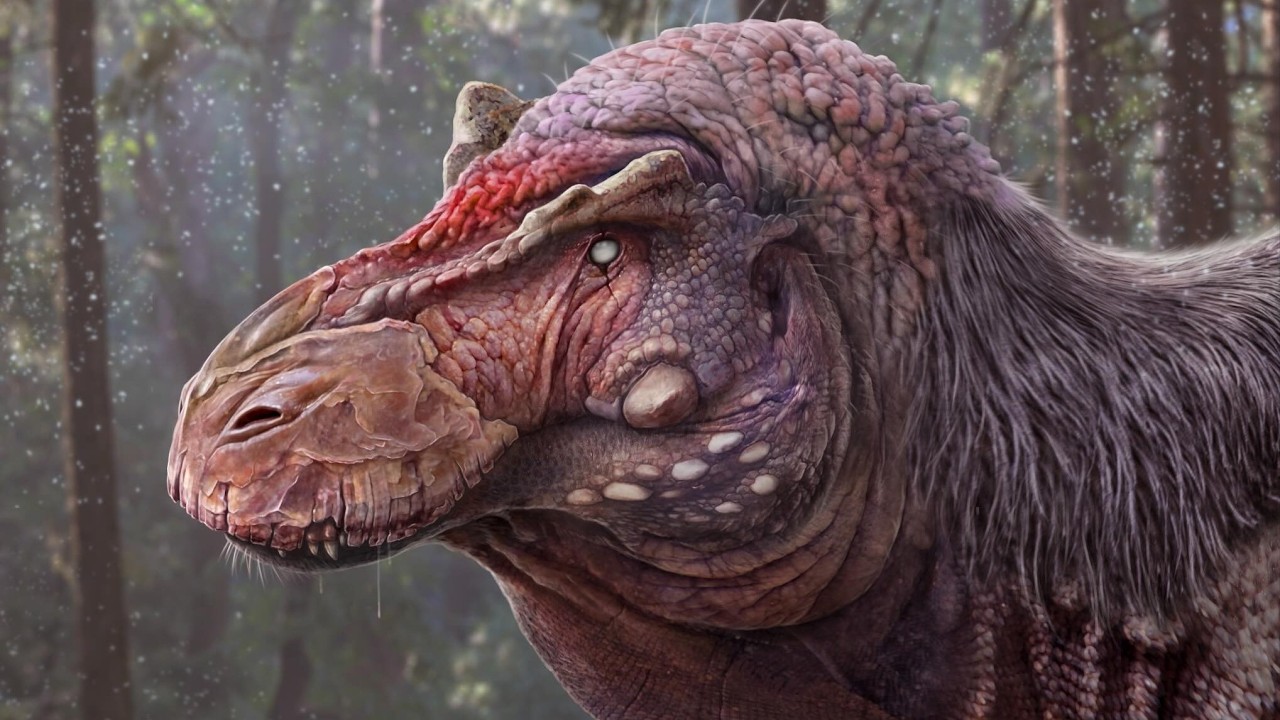 ¿Qué tan inteligente era el T. rex?