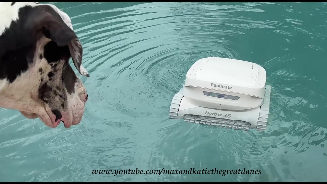 Funny Great Dane Reviews The New Pool Mate Hydro 3S Cordless Pool Cleaner Robot Perfect for Pets