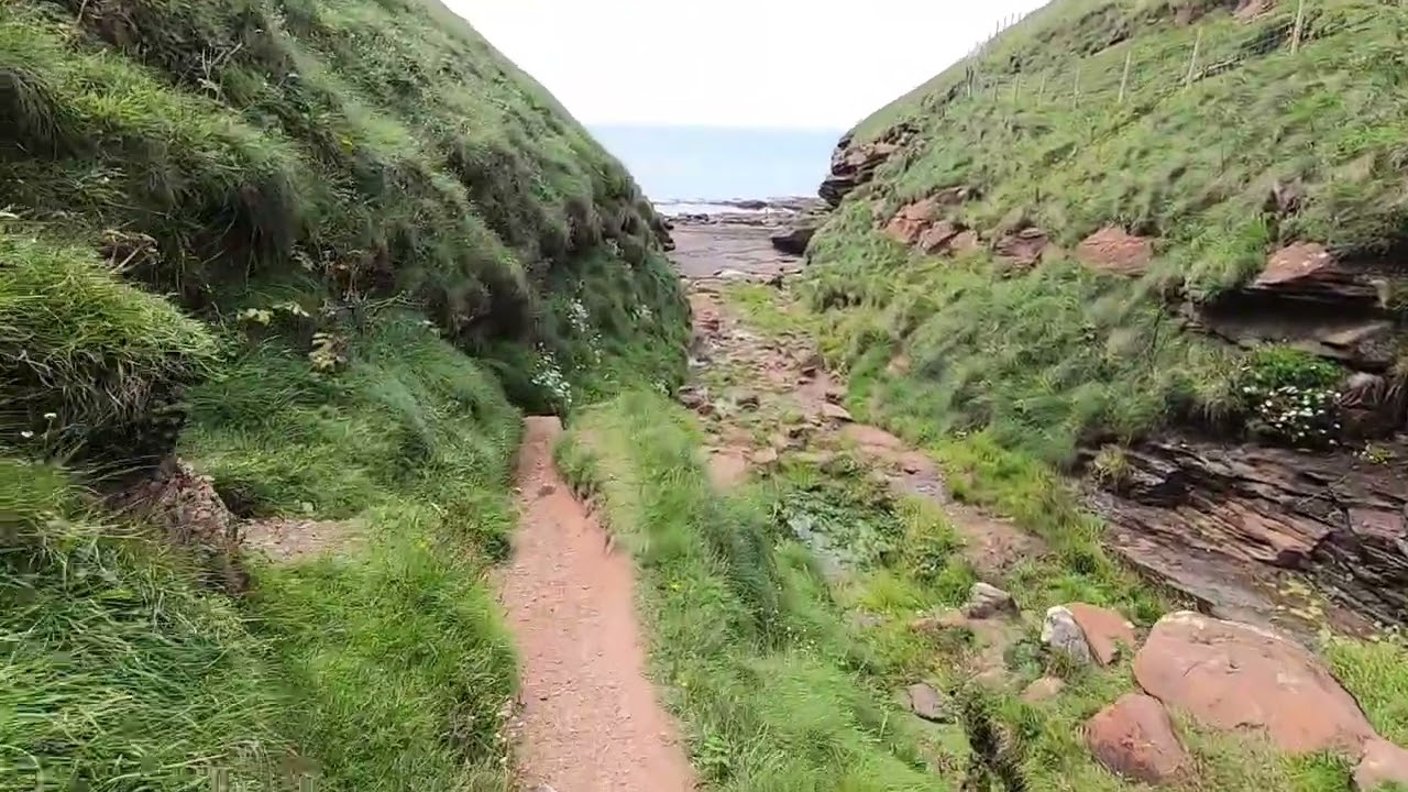 A walk to Fleswick Bay, St Bees. (67)