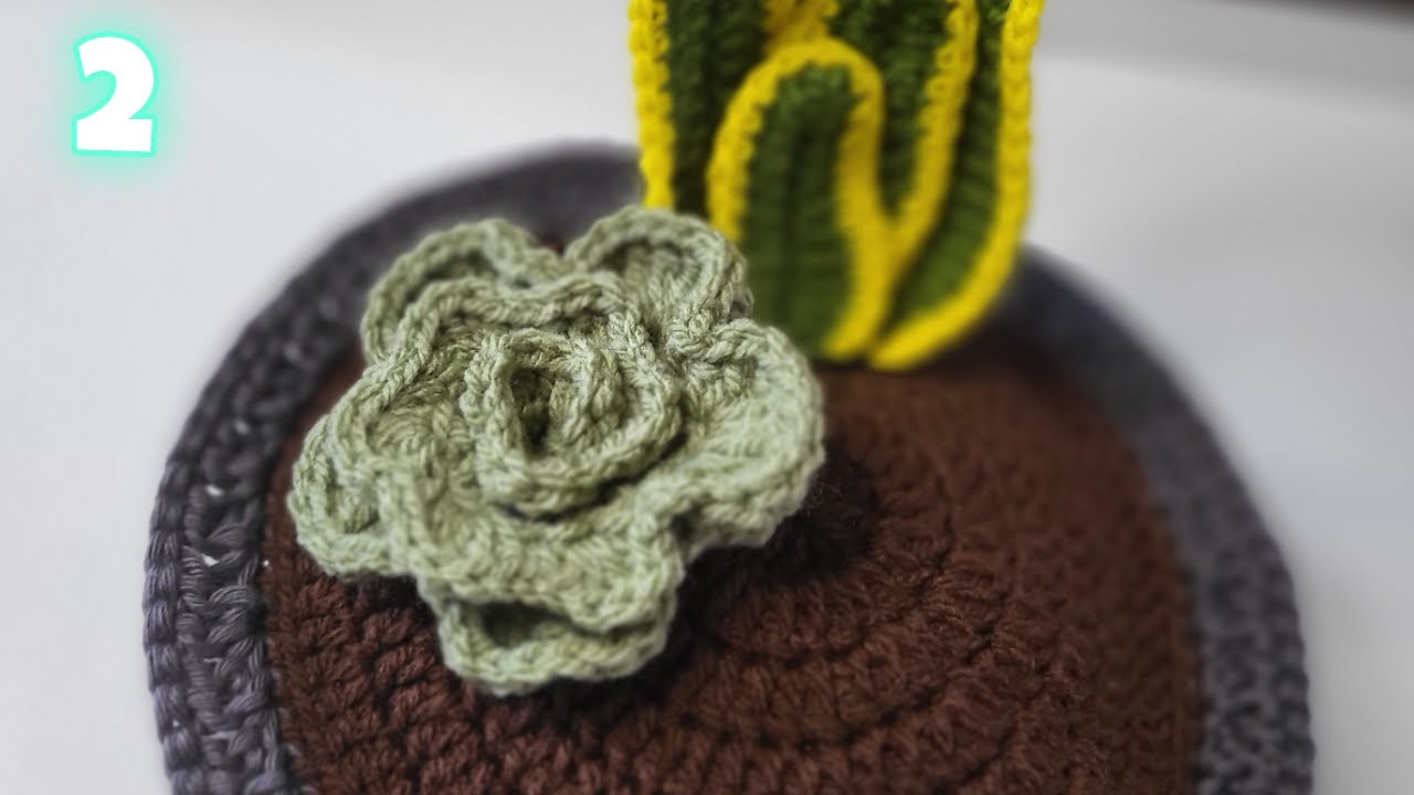 Crochet Succulent🪴 Quick & Easy in Step by step tutorial