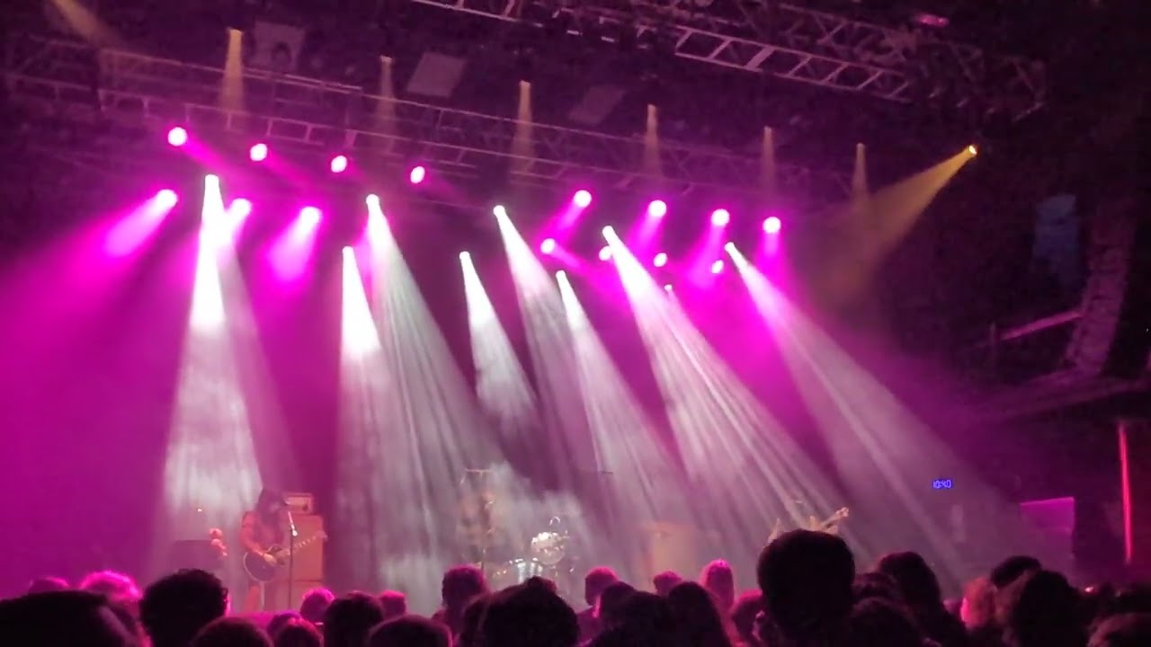 Boris - feedbacker  Sliver Spring Nov 1(Snippet)