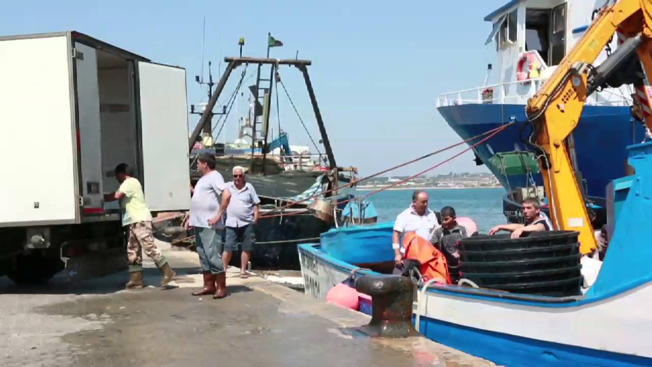 progetto Elorodoc - ditta Frame Off - Portopalo