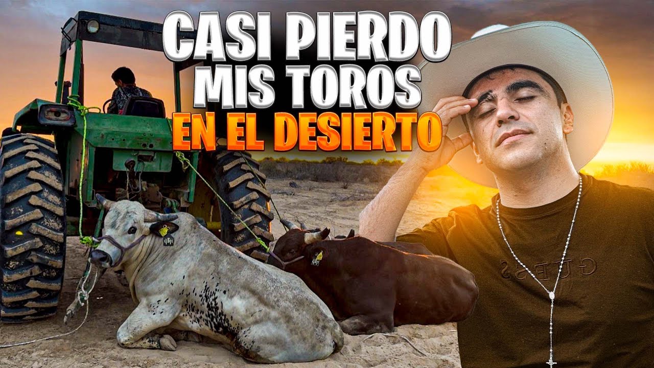 ¡MÁS DE 24 HRS ATASCADOS EN EL DESIERTO DE SONORA! Aquí les cuento como fue que paso..