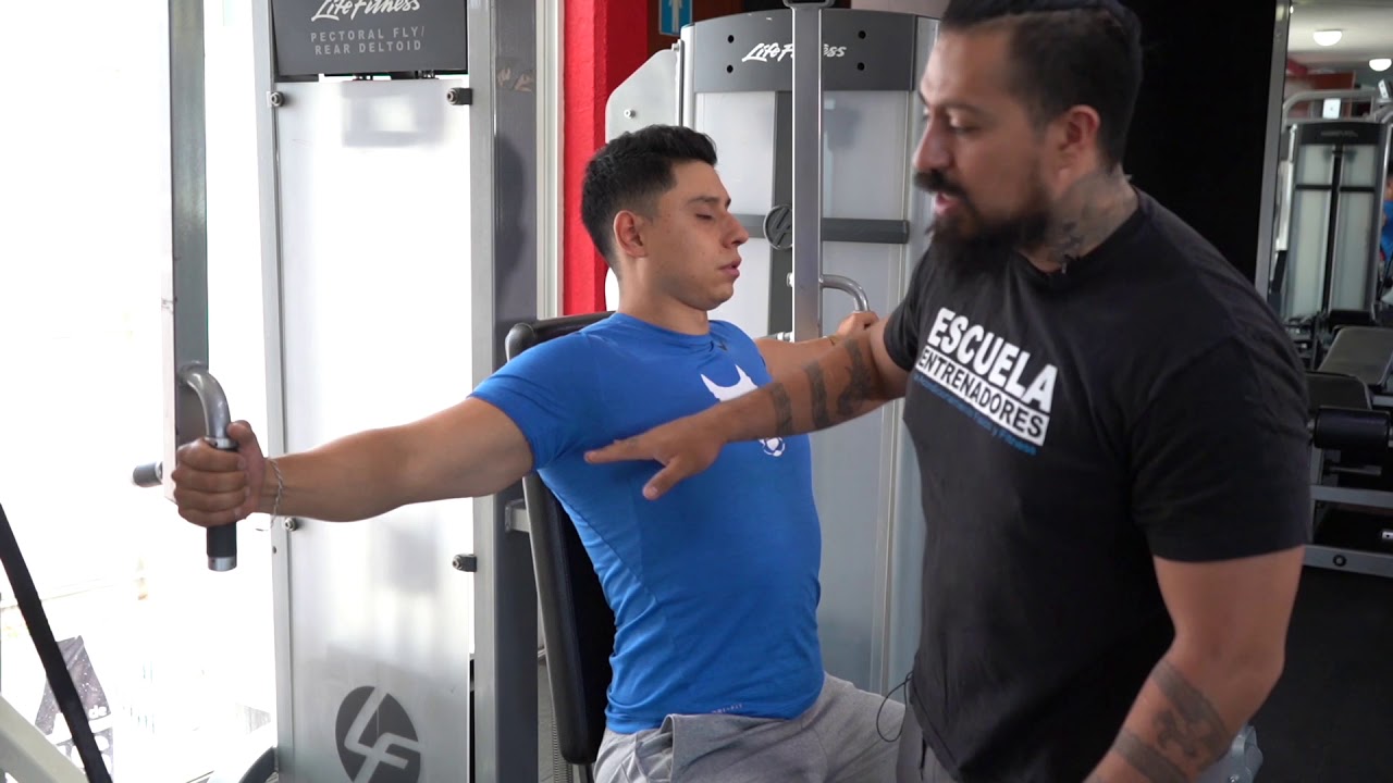 Entrenamiento en GYM Peck Fly 4