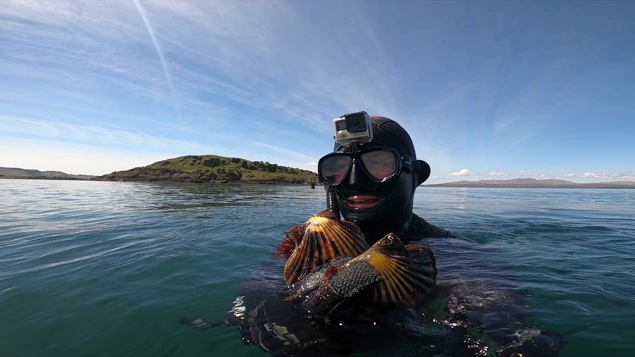 Spearfishing Oban Scotland , Seeing my first octopus , west coast scallops   Part 2 (Episode 24)