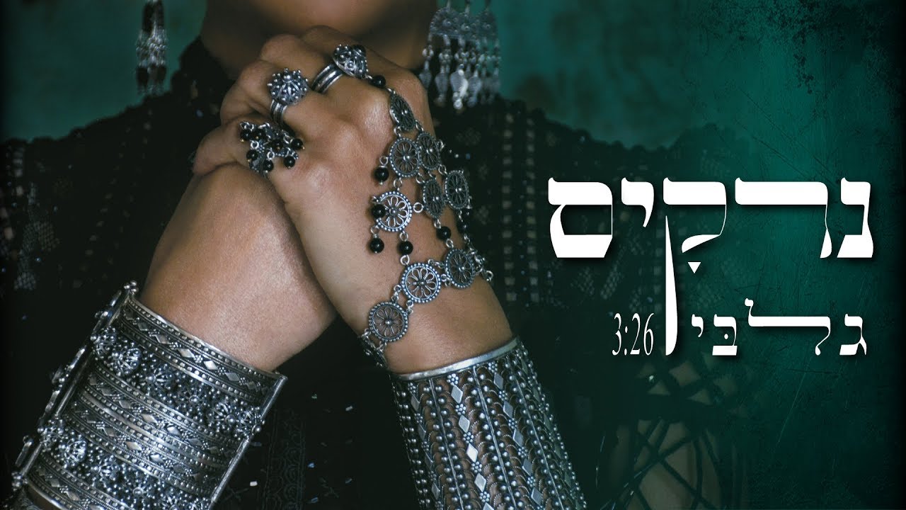 נרקיס - גלבי // Narkis - Galbi