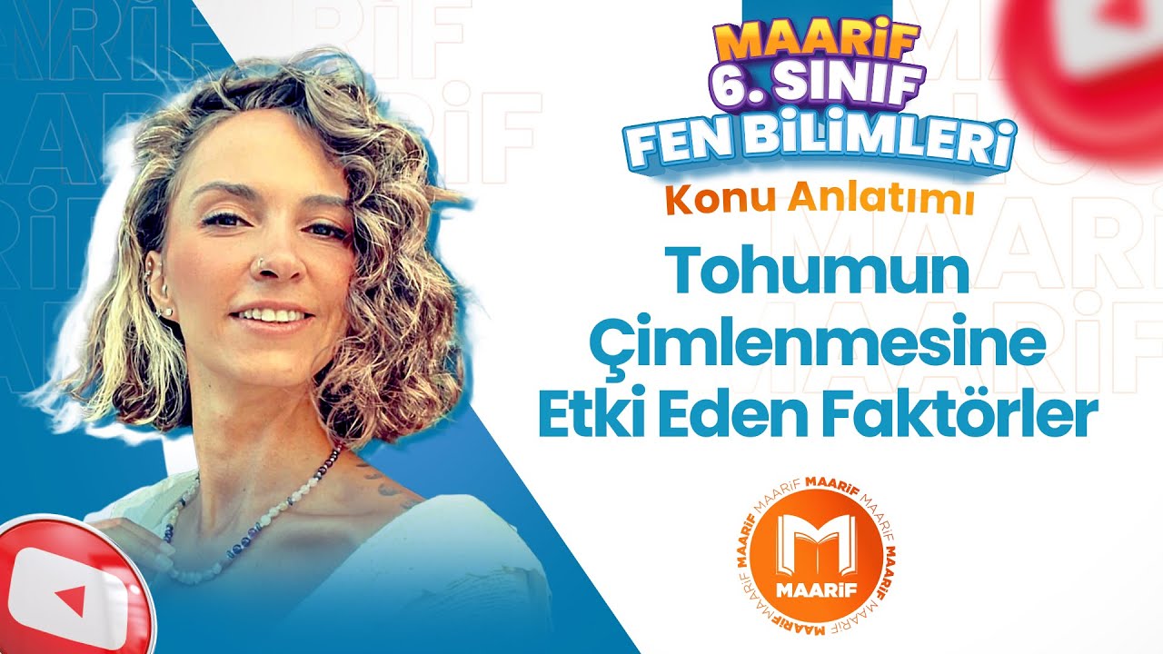 Tohumun Çimlenmesine Etki Eden Faktörler  | 6. Fen Bilimleri | Maarif Modeli | Ders 9