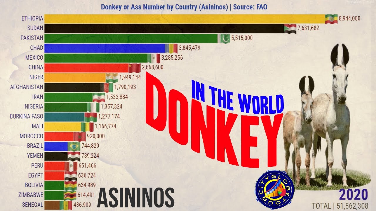 Largest Number Donkeys in The World by Country