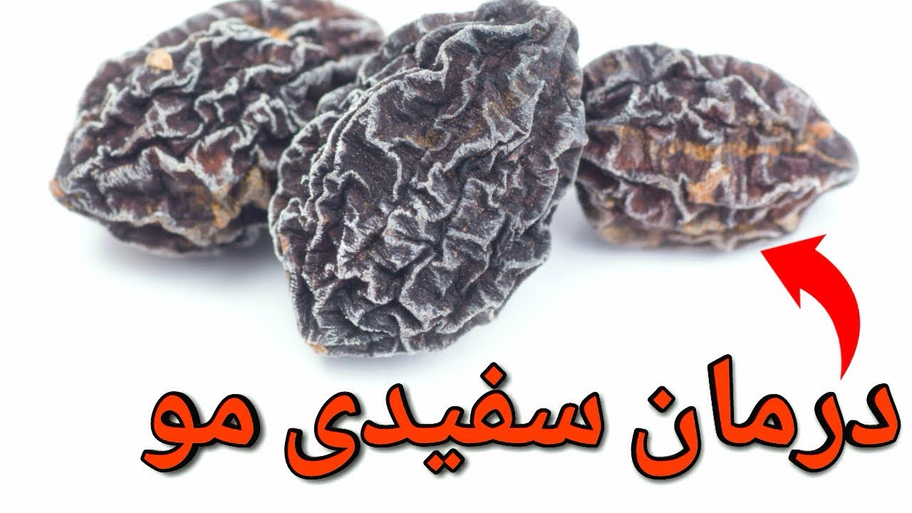 اثرات و فواید هلیله سیاه و آشنایی با طرز استفاده از آن برای مصارف دارویی