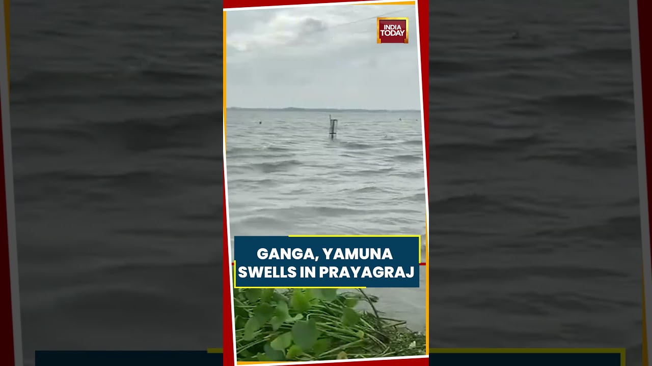 Prayagraj Flood: Rising Ganga And Yamuna Waters Enter Riverbank Settlement #prayagraj #ganga #sangam