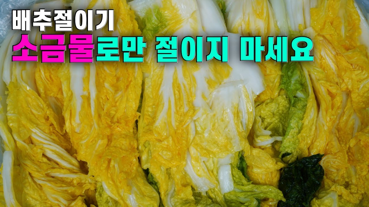 💚배추절이기/ 소금과 물의 비율이 중요, 소금물로만 절이지 마세요