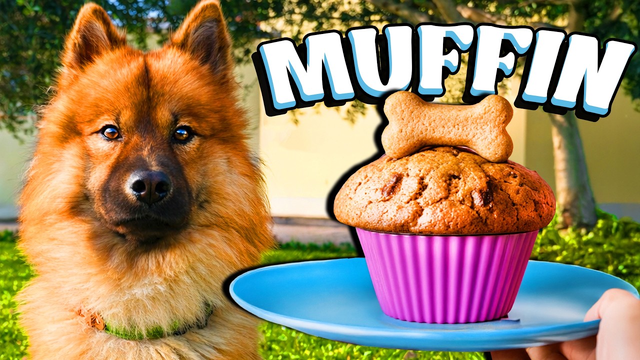 HO PREPARATO I MUFFIN PER CHEDDAR - Carly che cucina in cucina