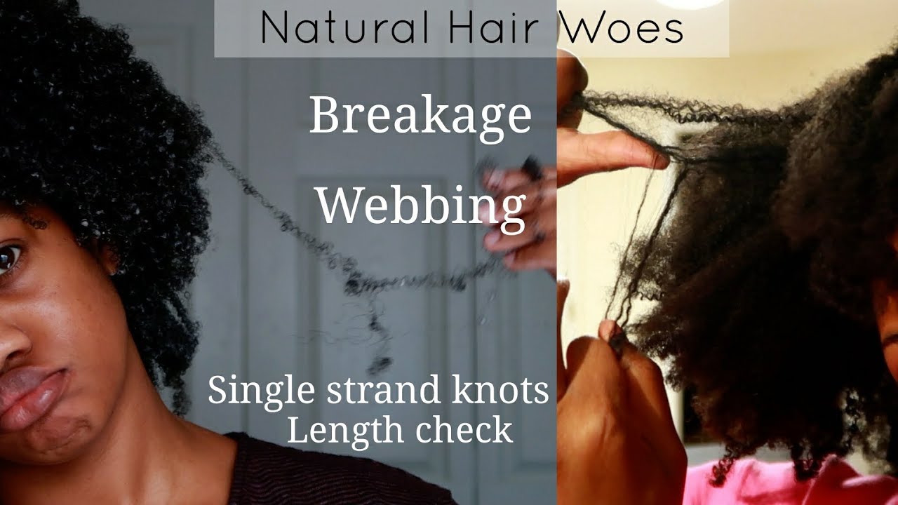My Natural Hair Was Savage | 5 Years Natural Part 1