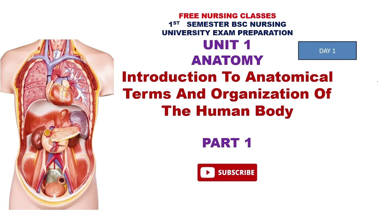 Introduction | Anatomy | Unit 1 | Part 1