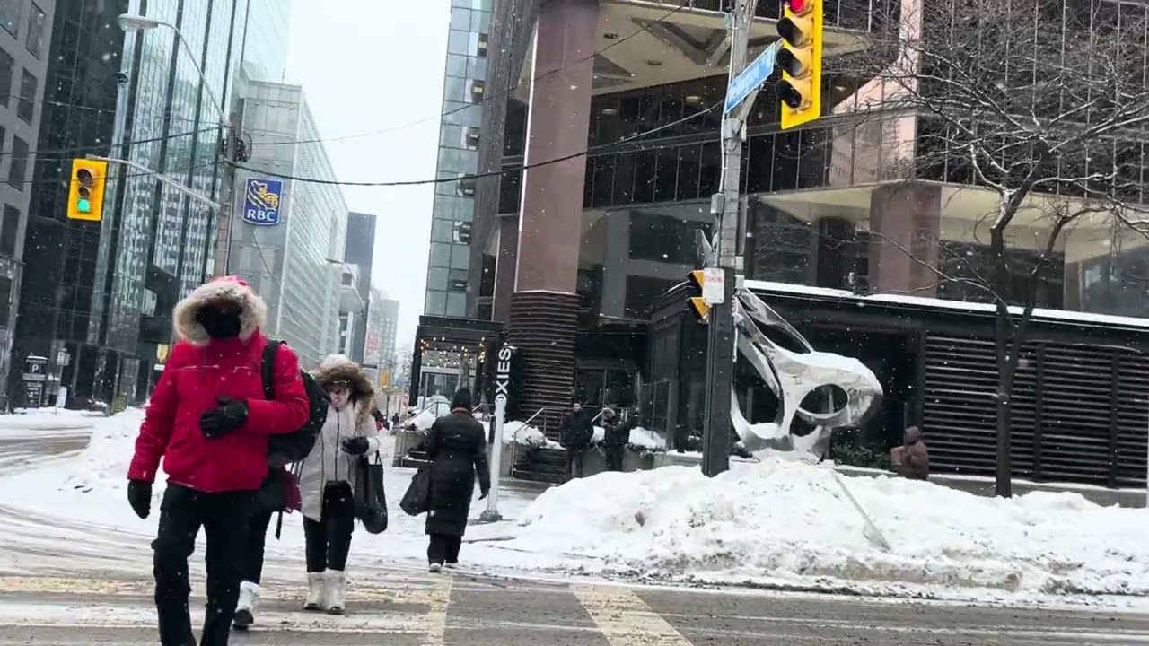 Snow in Downtown Toronto Feb 3  2026 |Toronto Winter Walk|