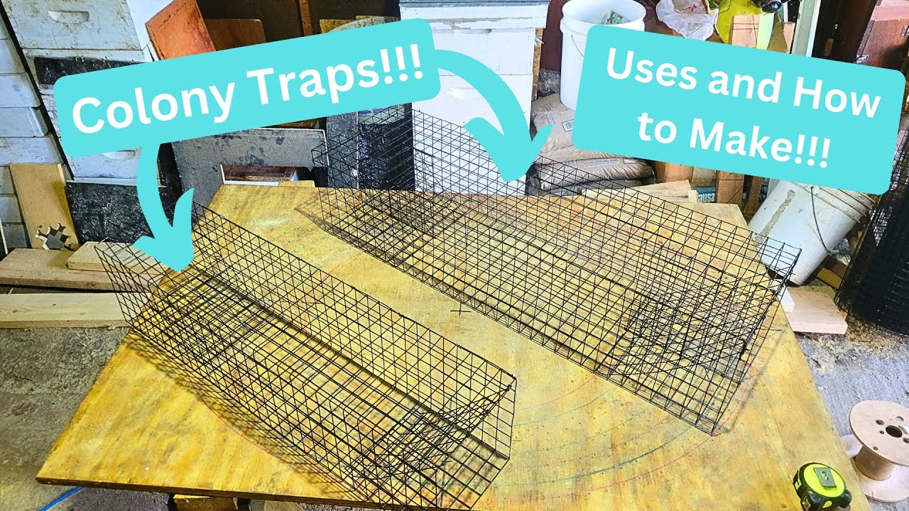 Muskrat Colony Traps - Uses and Making - In The Fur Shed