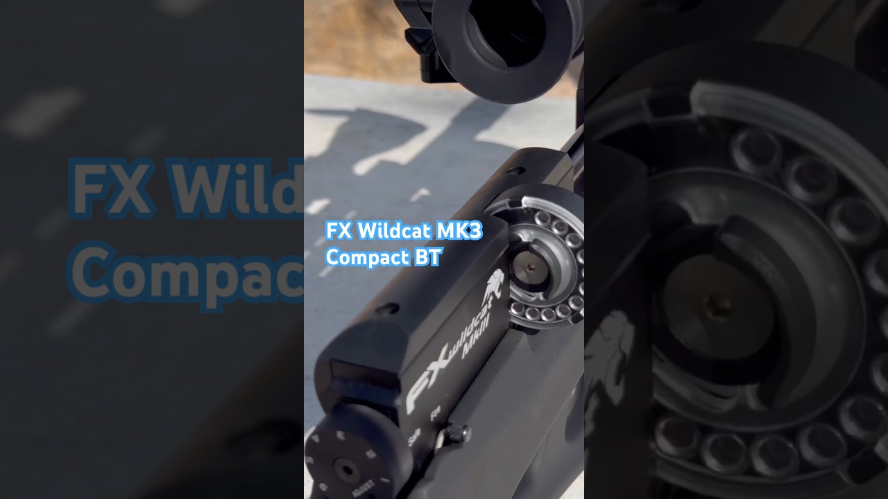 80 yard group with Pellets| FX Wildcat MK3 Compact BT | .22 JSB Diablo 18.13g #pelletrifle #airgun